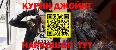 сатива Бузулук
