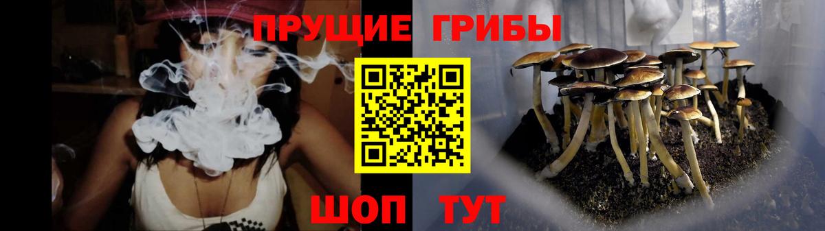 Кунгур  цены наркотик  Вход с VPN  Псилоцибиновые грибы мухоморы  Псилоцибиновые грибы мицелий 